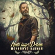 دانلود آهنگ نیستی جای دلم محمد رادمان